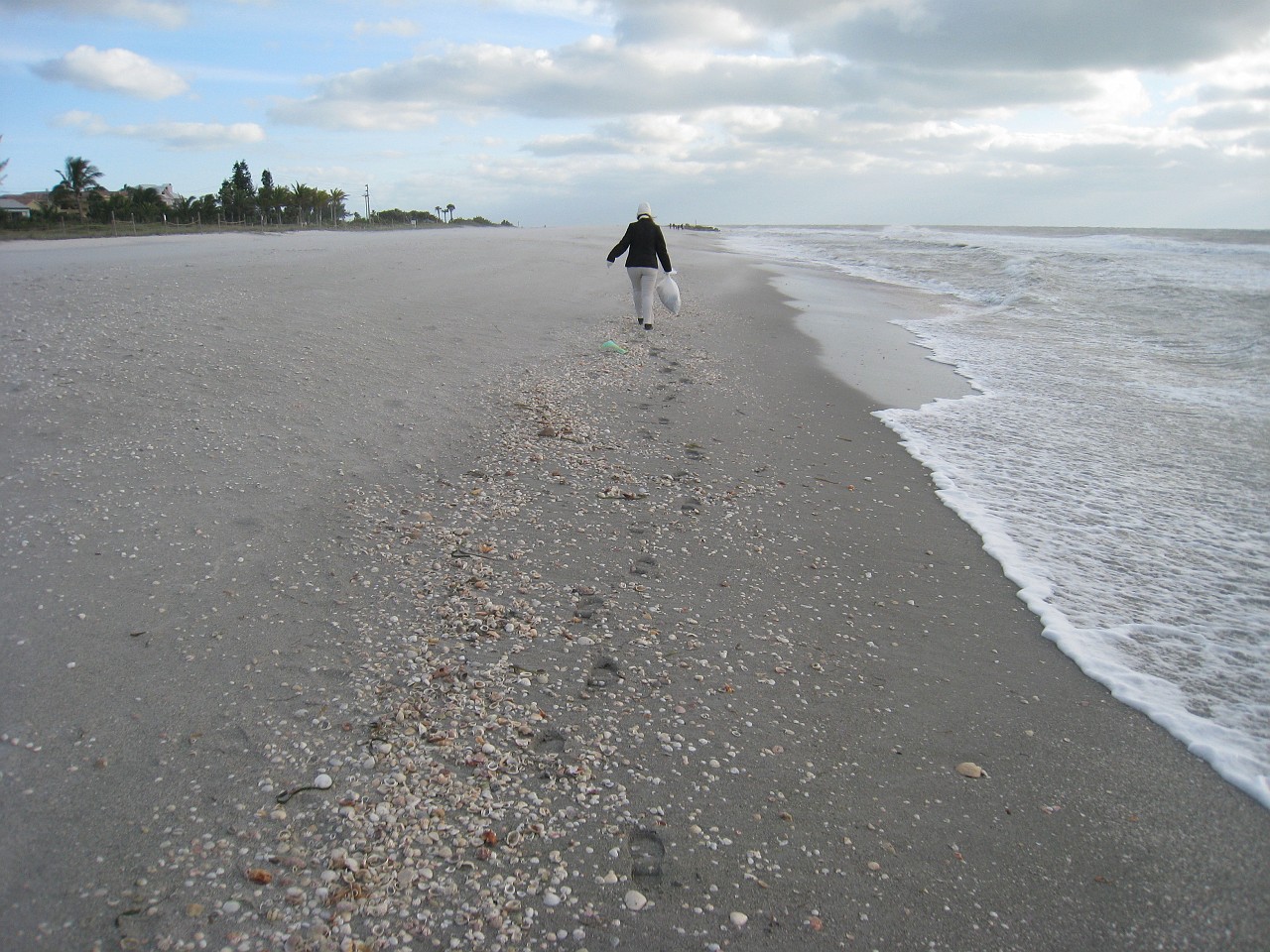 Vacation 2007-12 - Sanibel Island 0091.jpg - Our vacation for 2007-08 to Florida included a side trip to Sanibel Island. The main attraction here is "shelling", known as "The Sanibel Stoop" named for people bending over to pick up shells. It was a cold and blustery day at best!